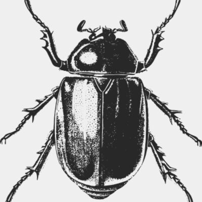 Vintage beetle 9 Thumbnail