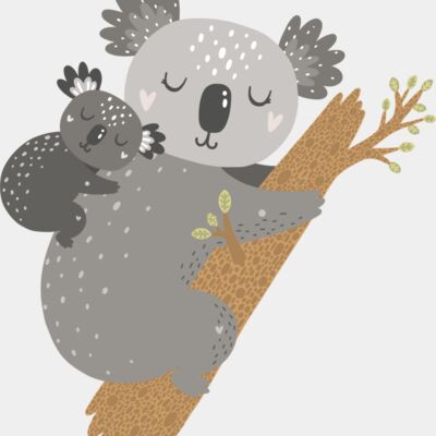Parent and child koala hug Thumbnail